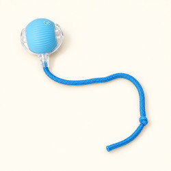 Balle interactive rechargeable avec LED pour chat