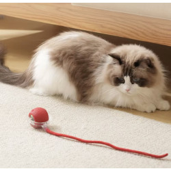 Balle intelligente pour chat | Jouet interactif rechargeable