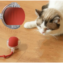 Balle intelligente pour chat | Jouet interactif rechargeable
