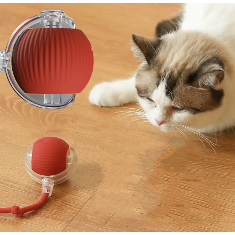 Balle intelligente pour chat | Jouet interactif rechargeable