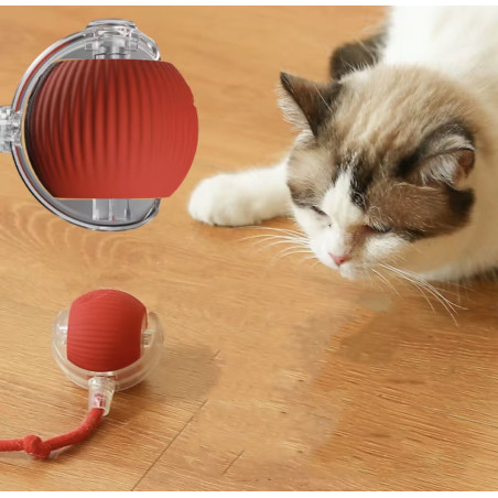 Balle intelligente pour chat | Jouet interactif rechargeable